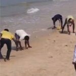 image_editor_output_image1425336499-1771829687116