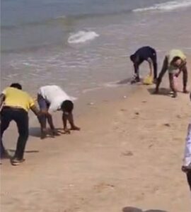 image_editor_output_image1425336499-1771829687116