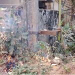 image_editor_output_image191428755-1770201124579