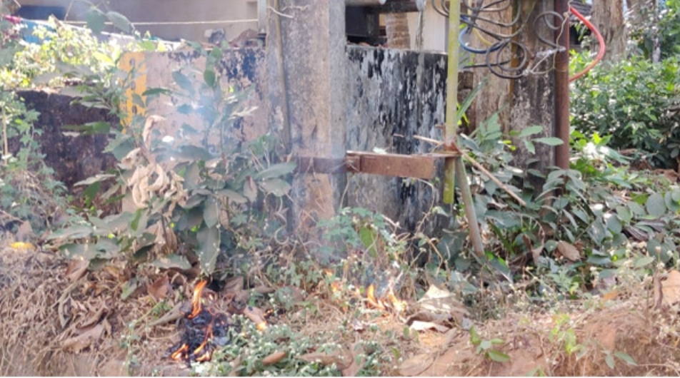 image_editor_output_image191428755-1770201124579