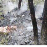 image_editor_output_image-17422764-1772802112155