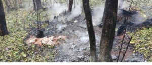 image_editor_output_image-17422764-1772802112155