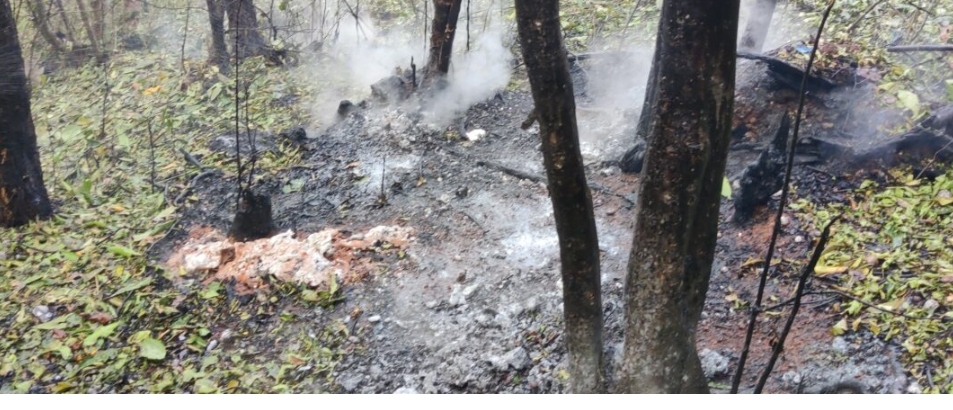 image_editor_output_image-17422764-1772802112155