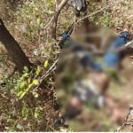 ಚಿಕ್ಕಮಗಳೂರು: ಪ್ರವಾಸಕ್ಕೆ ಬಂದು ನಿಗೂಢವಾಗಿ ನಾಪತ್ತೆಯಾಗಿದ್ದ ಬಾಲಕಿ ಶ್ರಿನಂದಾ ಶವವಾಗಿ ಪತ್ತೆ