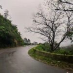 ಬೆಳ್ತಂಗಡಿ: ಚಾರ್ಮಾಡಿ ಘಾಟ್ ನಲ್ಲಿ ಪಿಕಪ್ ವಾಹನ ಪಲ್ಟಿ: ಹತ್ತಕ್ಕೂ ಹೆಚ್ಚು ಮಂದಿಗೆ ಗಾಯ