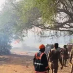 ಕೇರಳ: ಪಟಾಕಿ ತಯಾರಿಕಾ ಕಟ್ಟಡದಲ್ಲಿ ಸ್ಫೋಟ: 13 ಮಂದಿ ಮೃತ್ಯು, ಹಲವರು ಗಾಯ