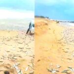 Oplus_16908288