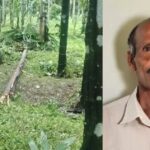 ಕಡಬ: ಗಾಳಿಗೆ ಅಡಿಕೆ ಮರ ಮುರಿದು ಬಿದ್ದು ವ್ಯಕ್ತಿ ಸಾವು