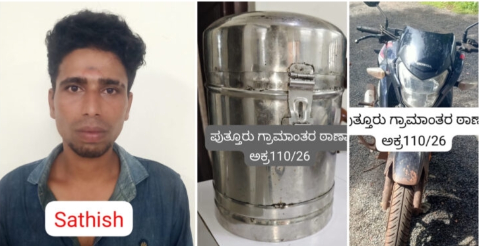 image_editor_output_image1191566856-1788524655545